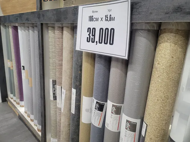 oboi.mn — Саарал, цагаан өнгийн цуглуулга